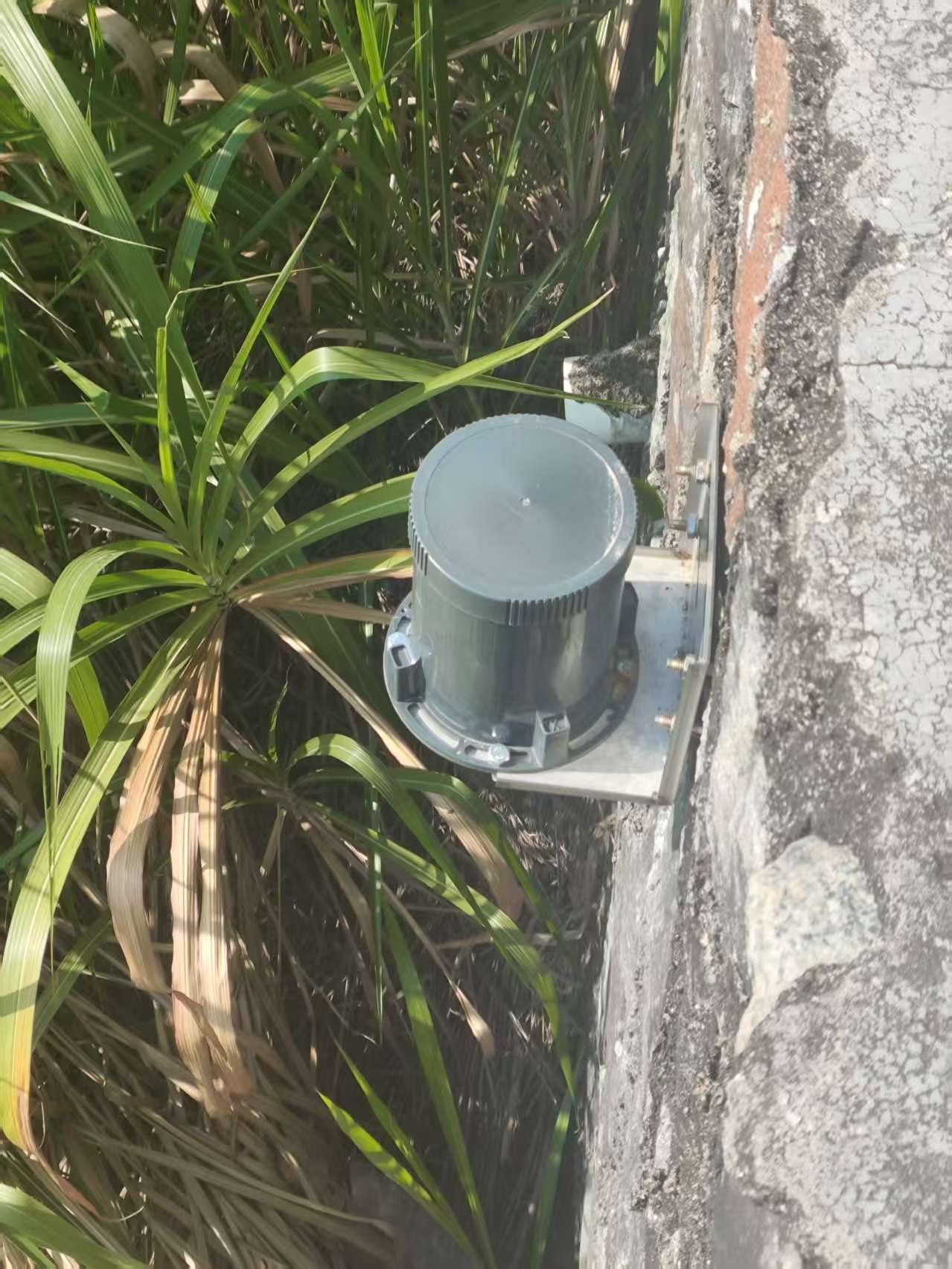 图5 图5